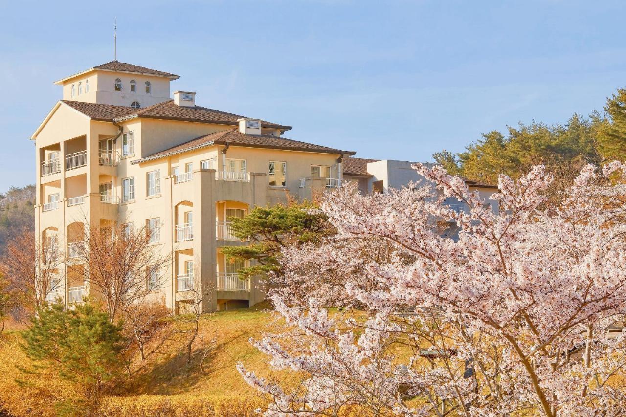 경주 마우나 오션 리조트 외부 사진