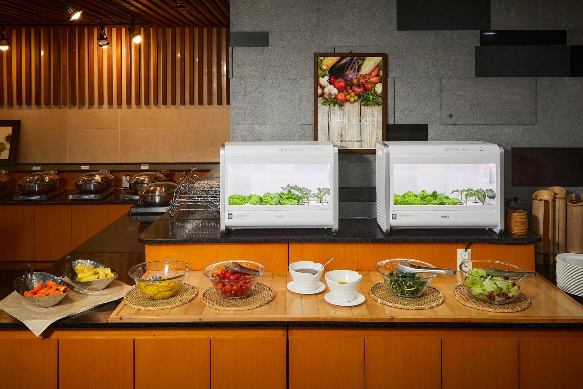 경주 마우나 오션 리조트 외부 사진