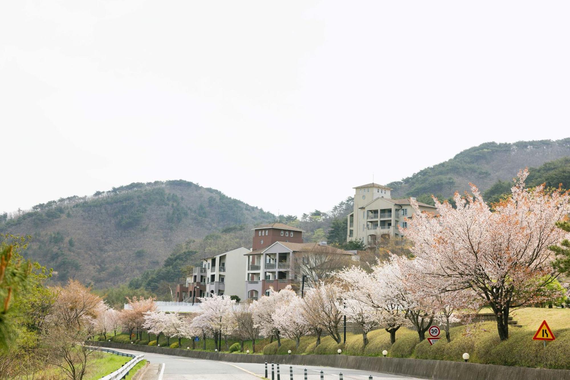 경주 마우나 오션 리조트 외부 사진