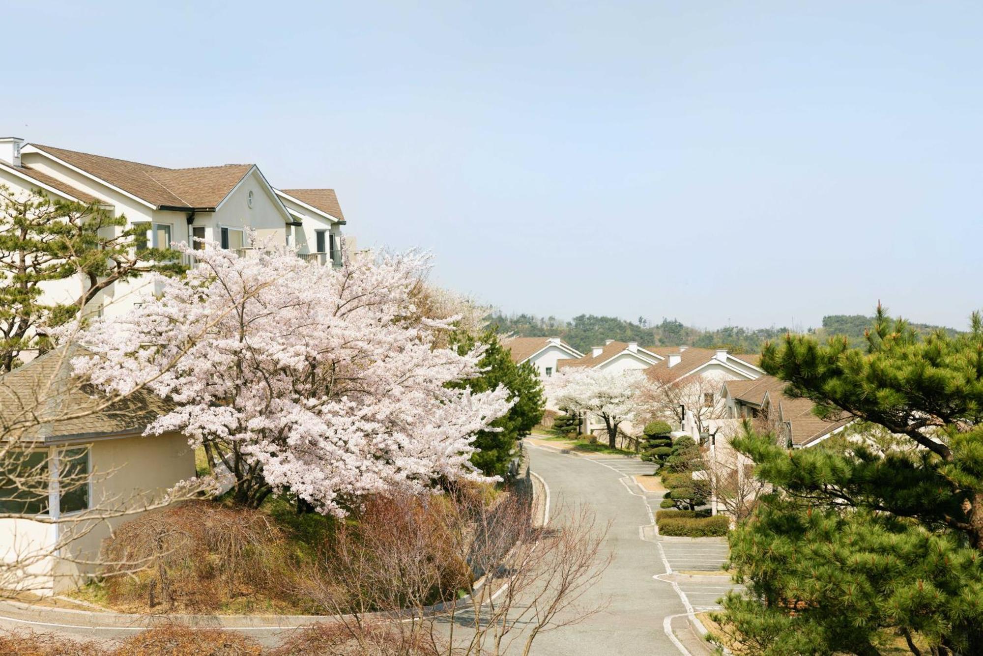 경주 마우나 오션 리조트 외부 사진