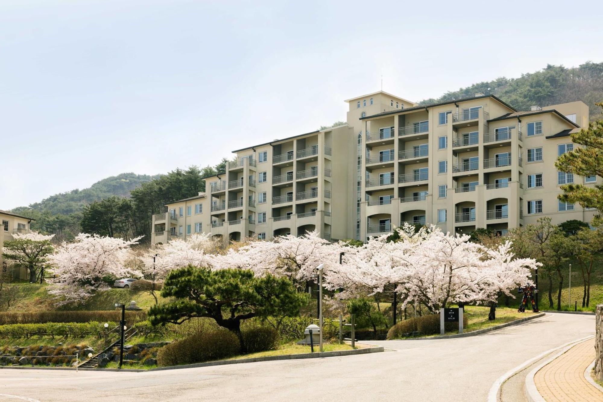 경주 마우나 오션 리조트 외부 사진